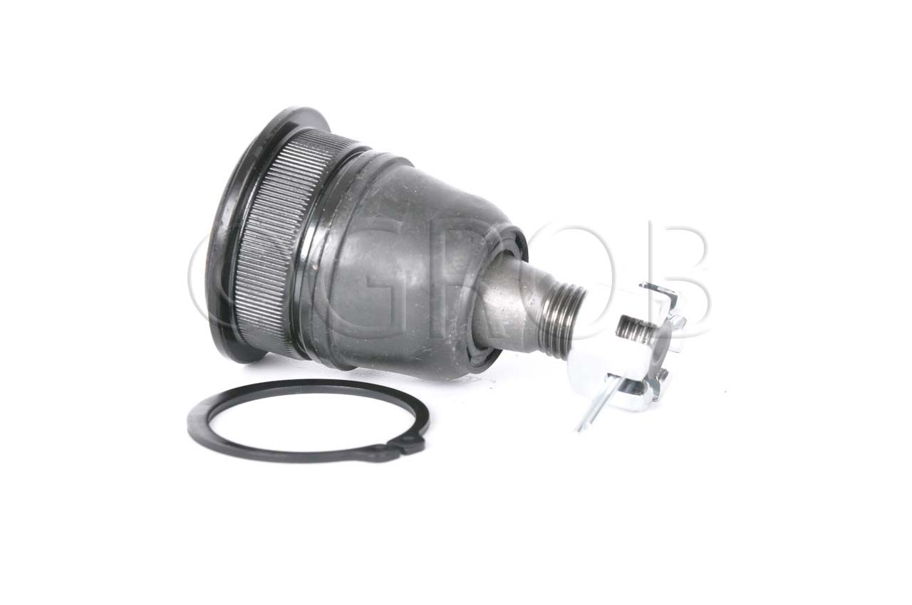 Rotula Inf. I30 00-01 I35 02-04 Maxima 00-03