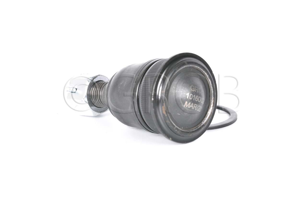 Rotula Inf. I30 00-01 I35 02-04 Maxima 00-03
