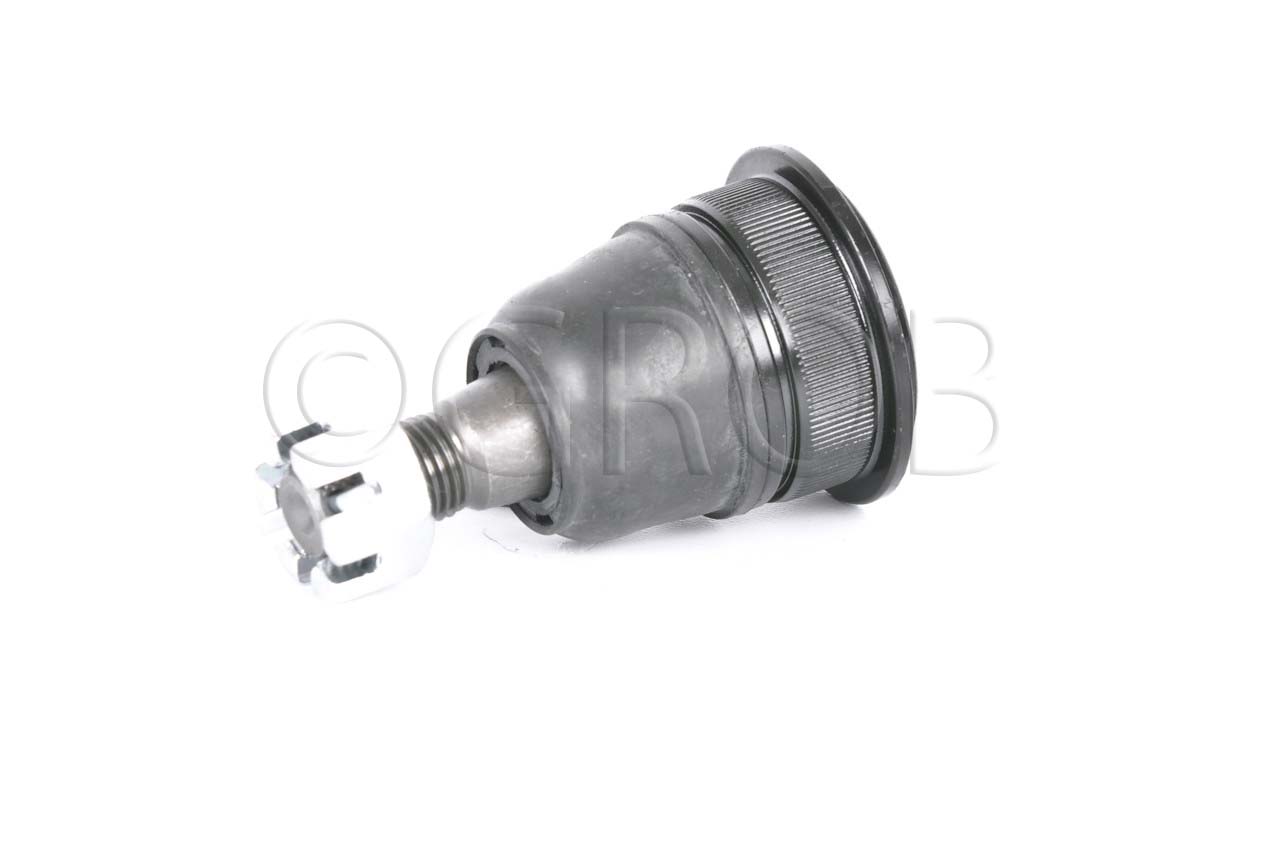 Rotula Inf. I30 00-01 I35 02-04 Maxima 00-03