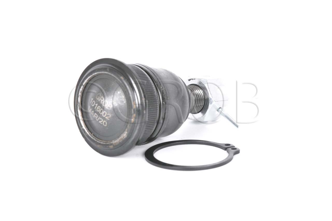 Rotula Inf. I30 00-01 I35 02-04 Maxima 00-03
