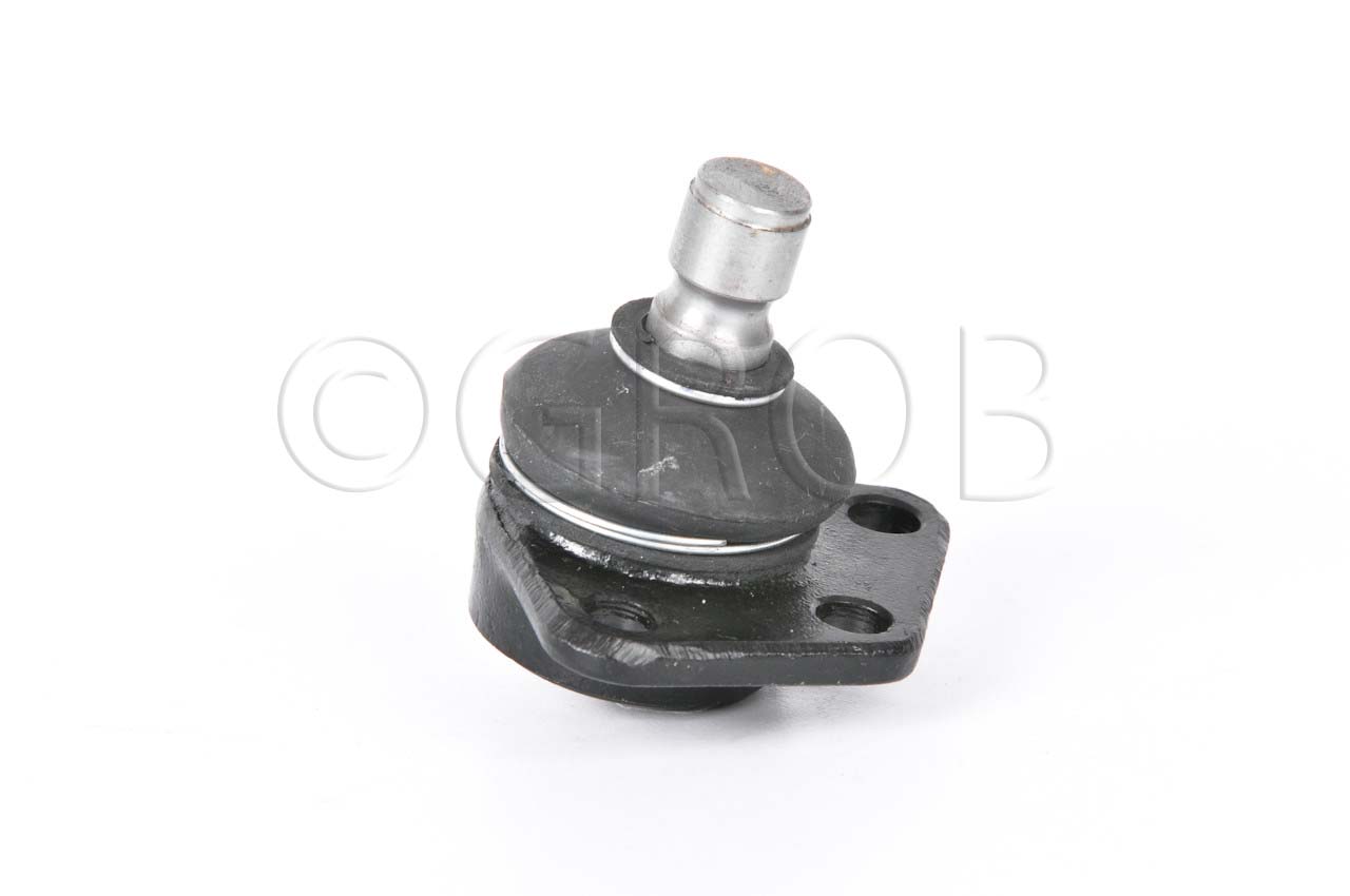 Rotula Inf. Caribe 77-77