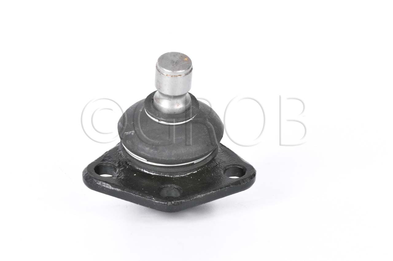 Rotula Inf. Caribe 77-77