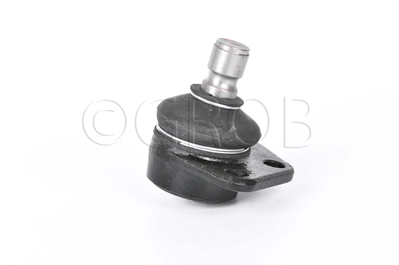 Rotula Inf. Caribe 77-77