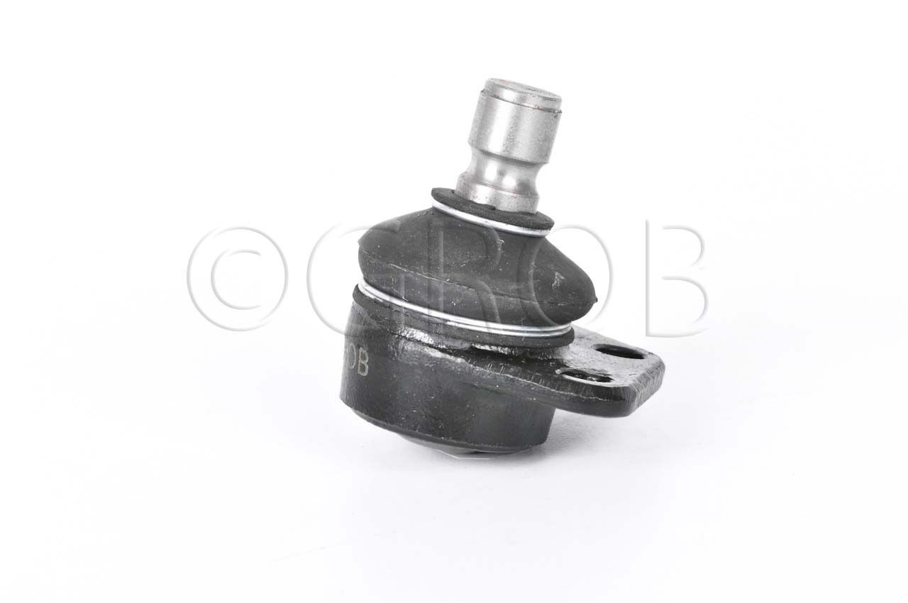 Rotula Inf. Caribe 77-77