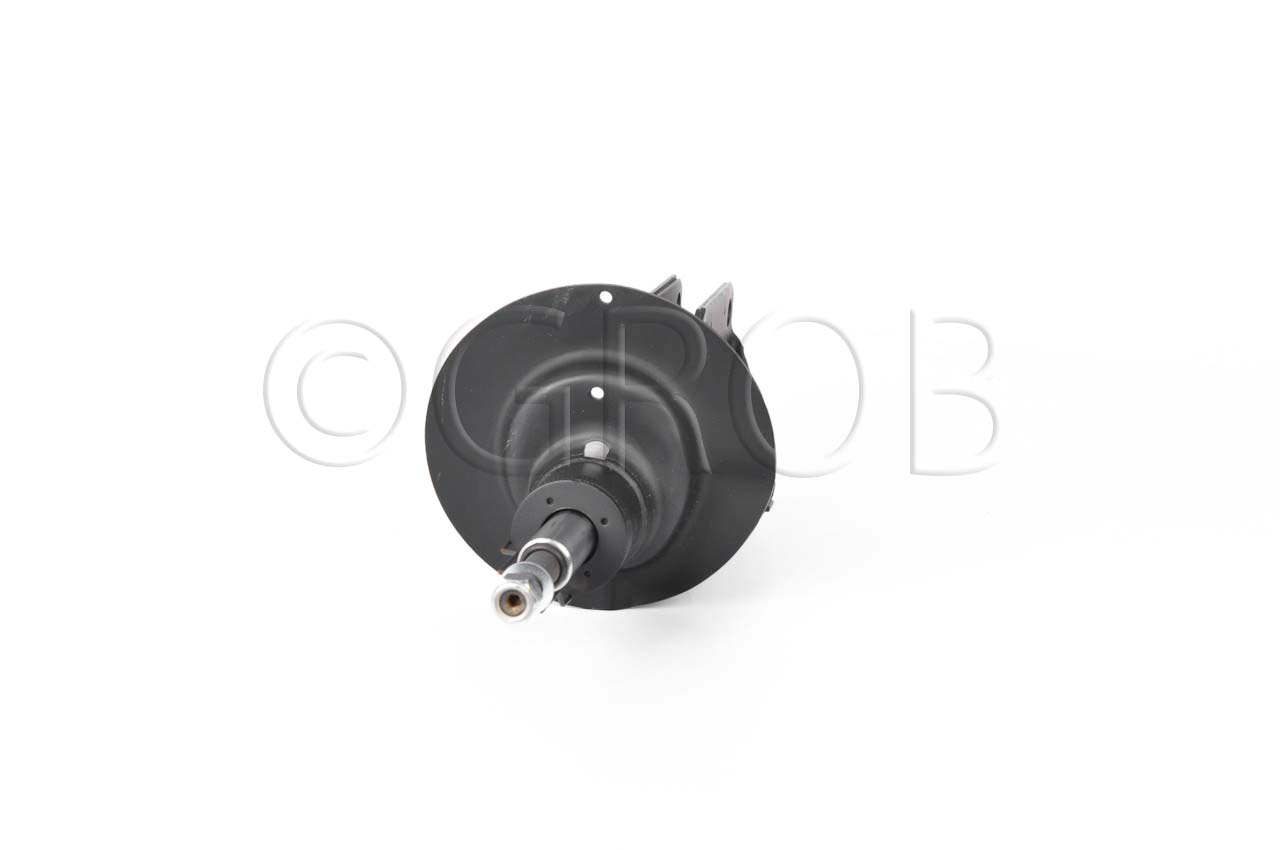 Amortiguador Del. Izq. X5 00-06