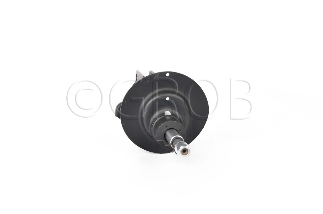 Amortiguador Del. Izq. X5 00-06