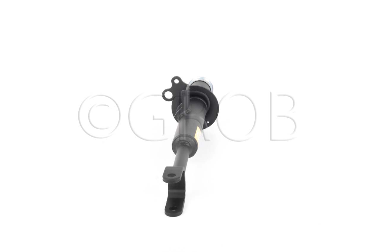 Amortiguador Del. Der. Serie 5 (F10) 11-13