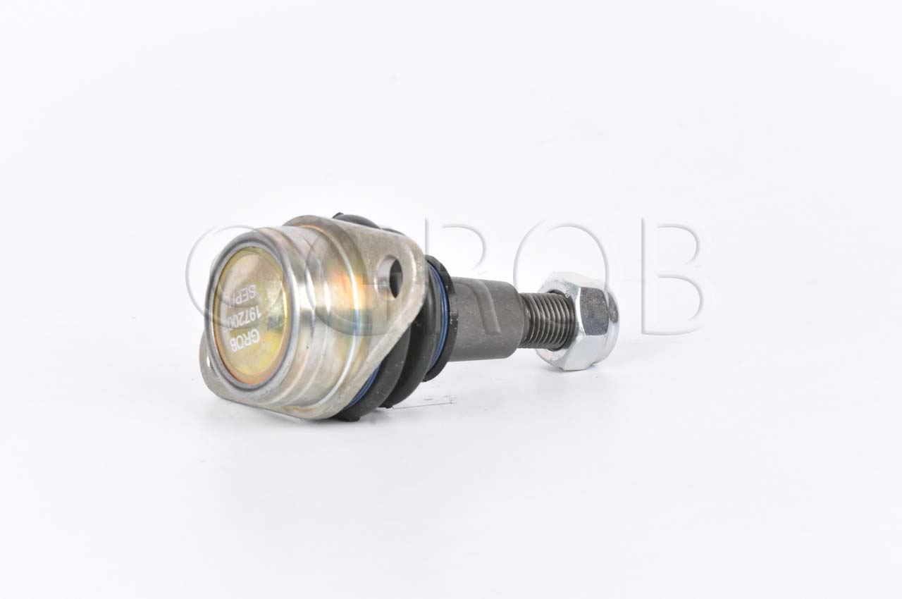 Rotula Inf. X3 11-17