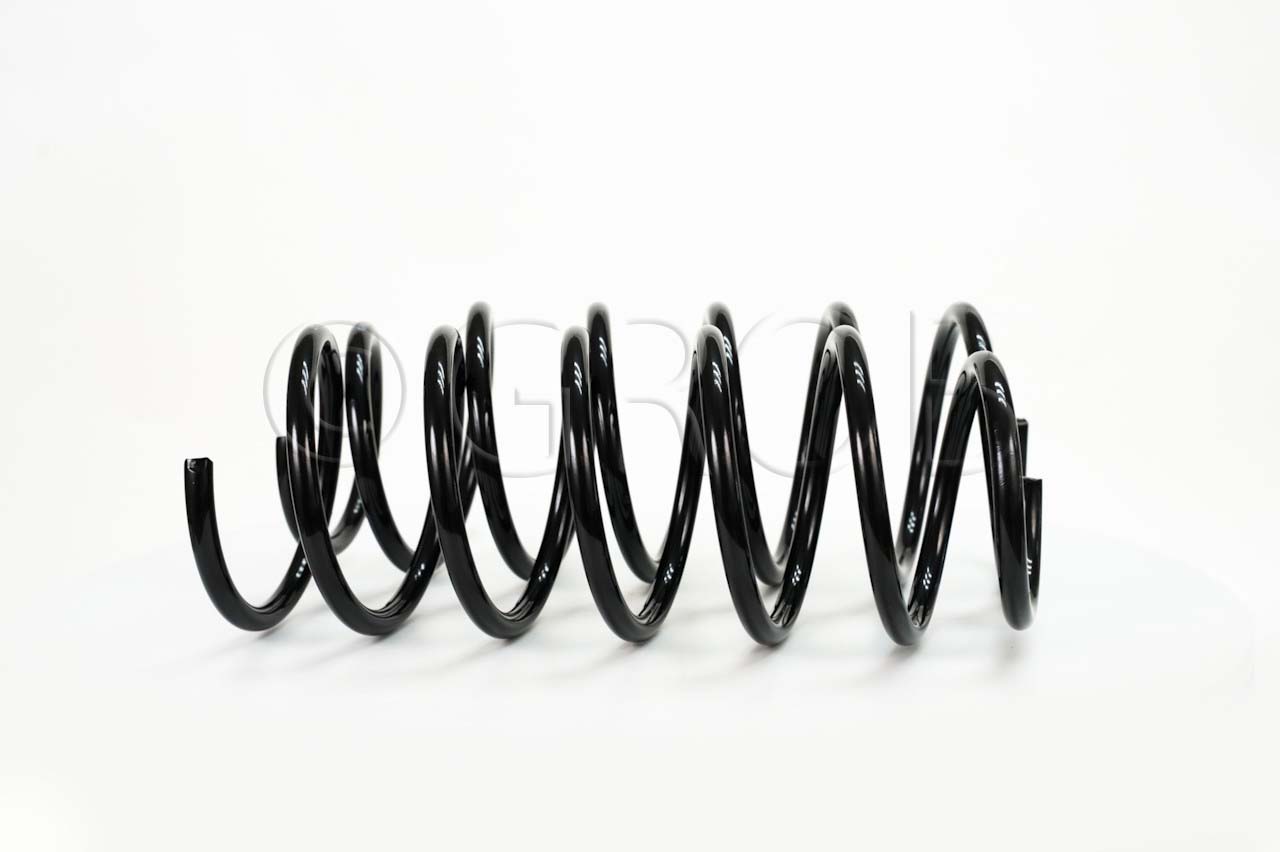Resorte Del. Platina 02-09 Clio 02-09 Kangoo 02-23