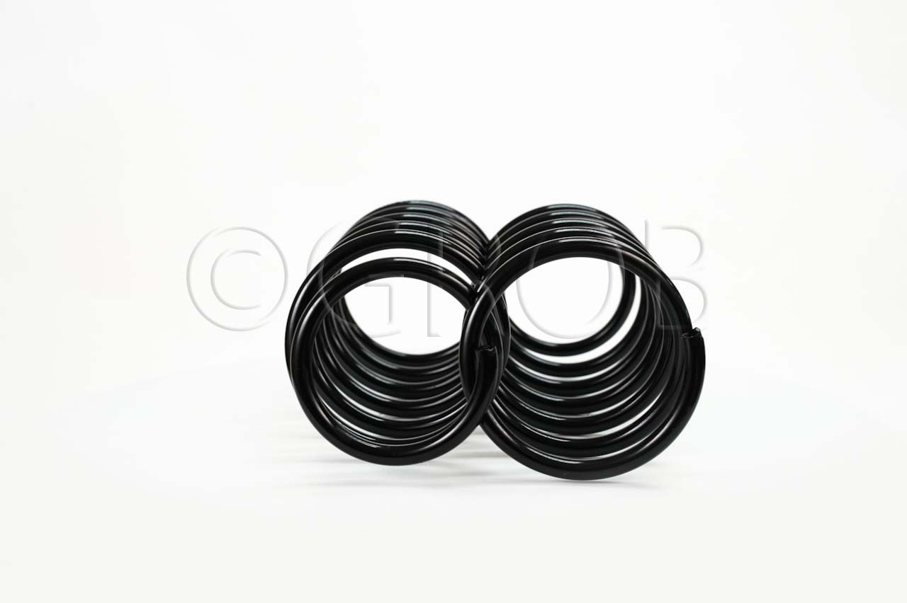 Resorte Del. Platina 02-09 Clio 02-09 Kangoo 02-23