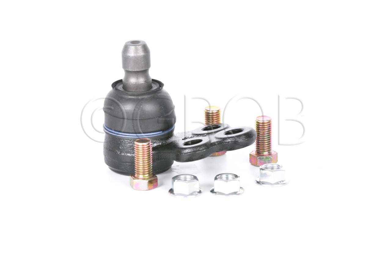 Rotula Inf. Spark 16-21