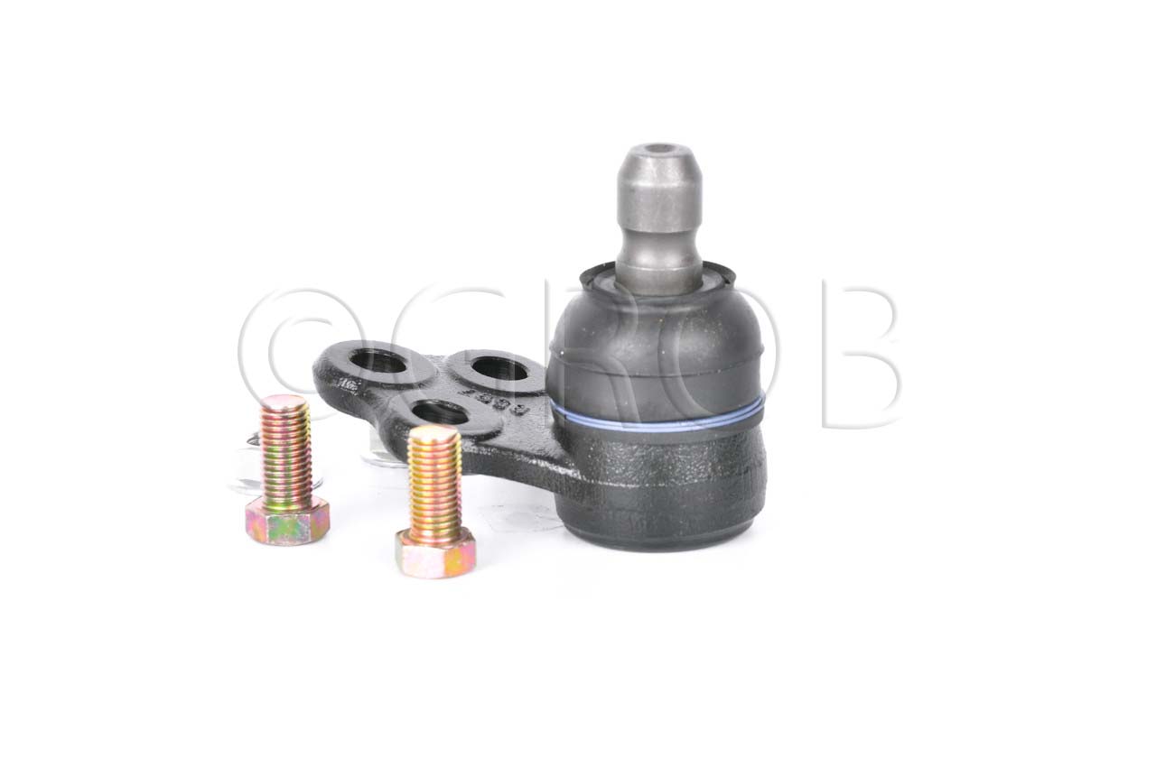 Rotula Inf. Spark 16-21