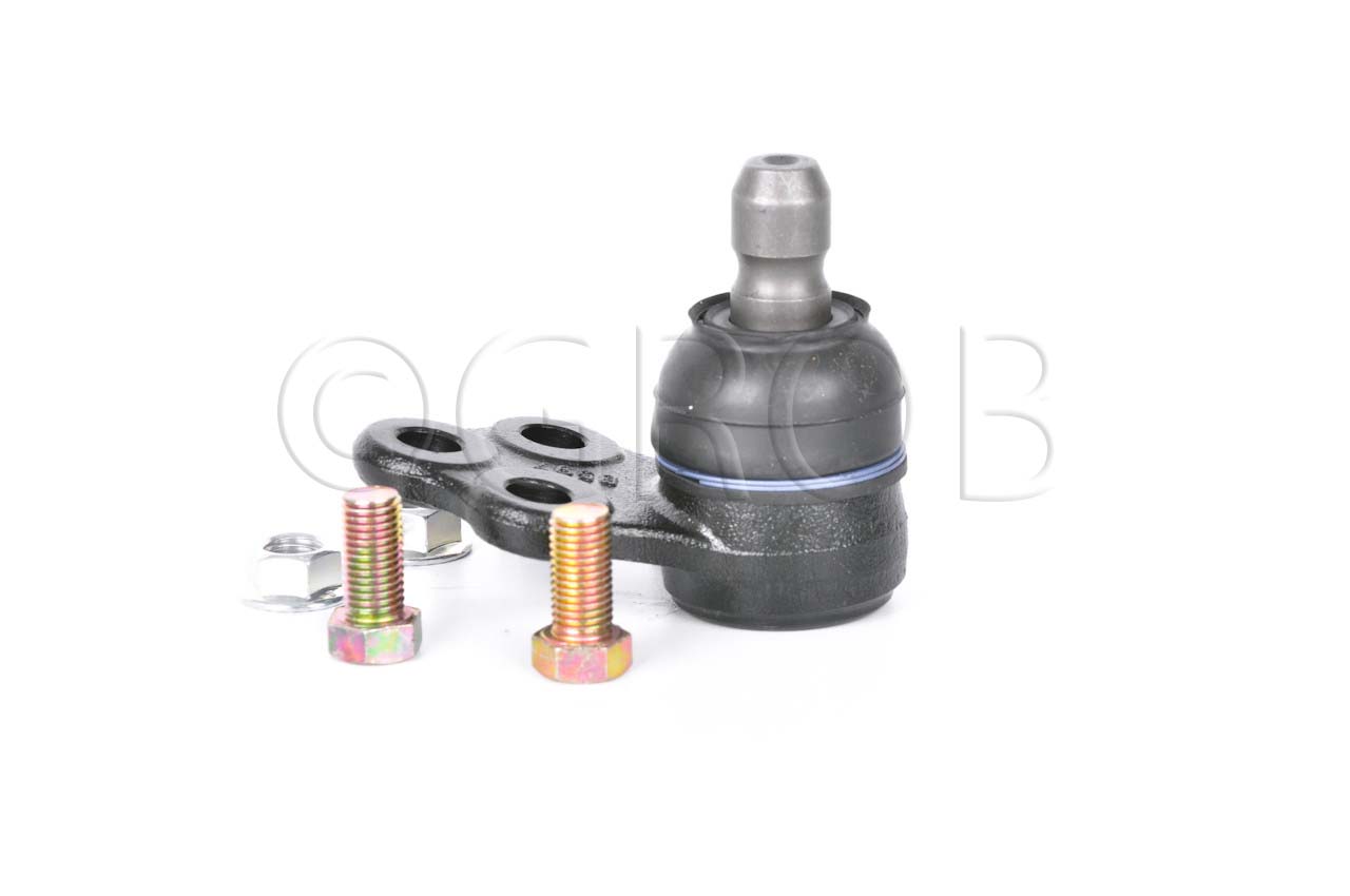 Rotula Inf. Spark 16-21