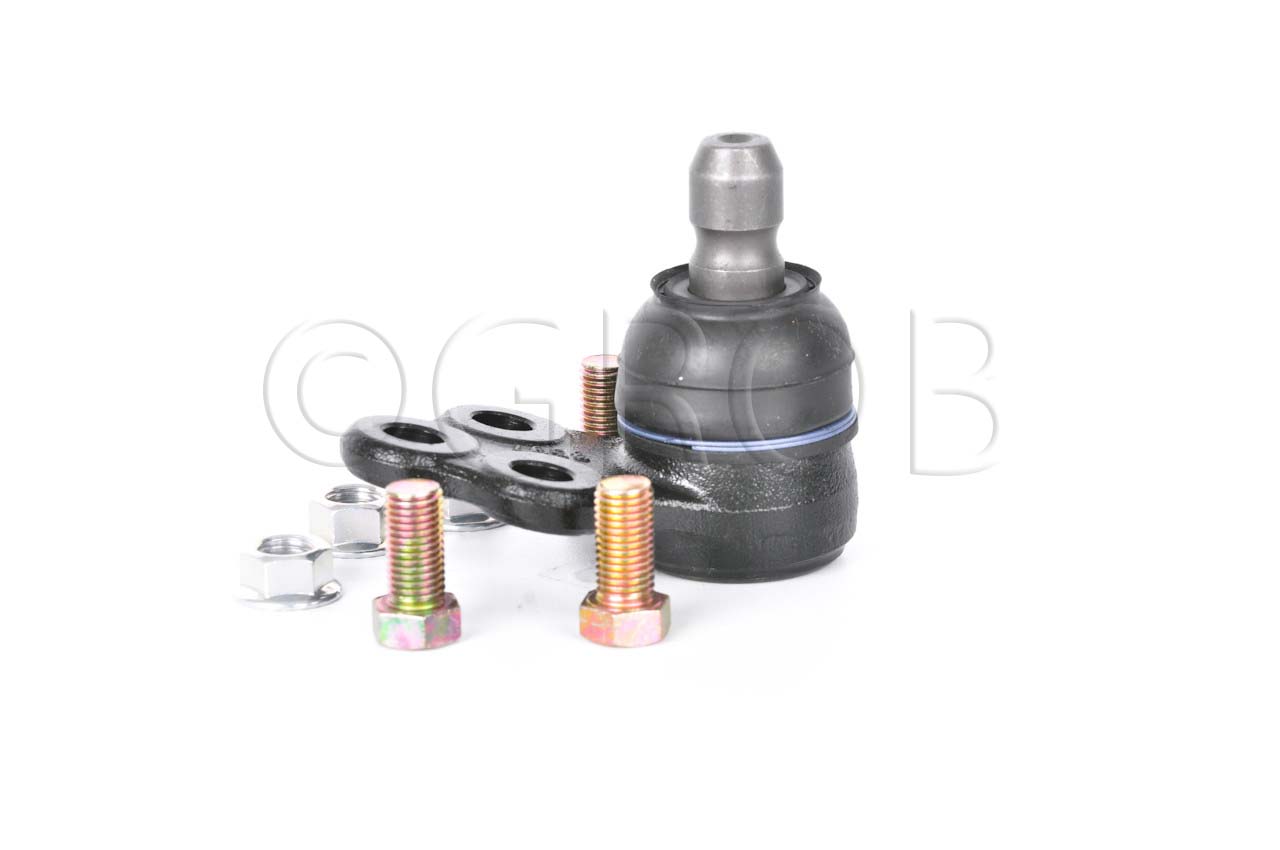 Rotula Inf. Spark 16-21