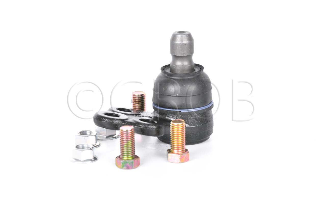 Rotula Inf. Spark 16-21