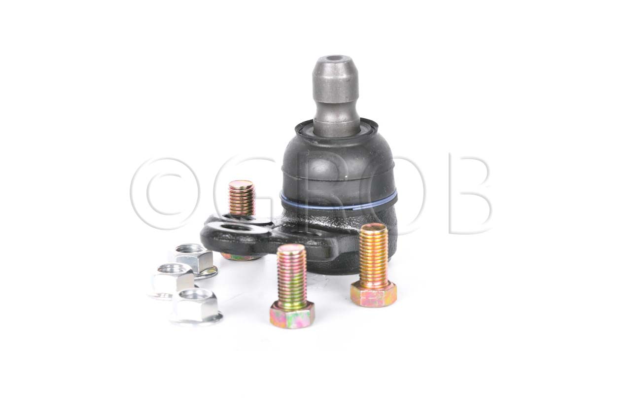 Rotula Inf. Spark 16-21