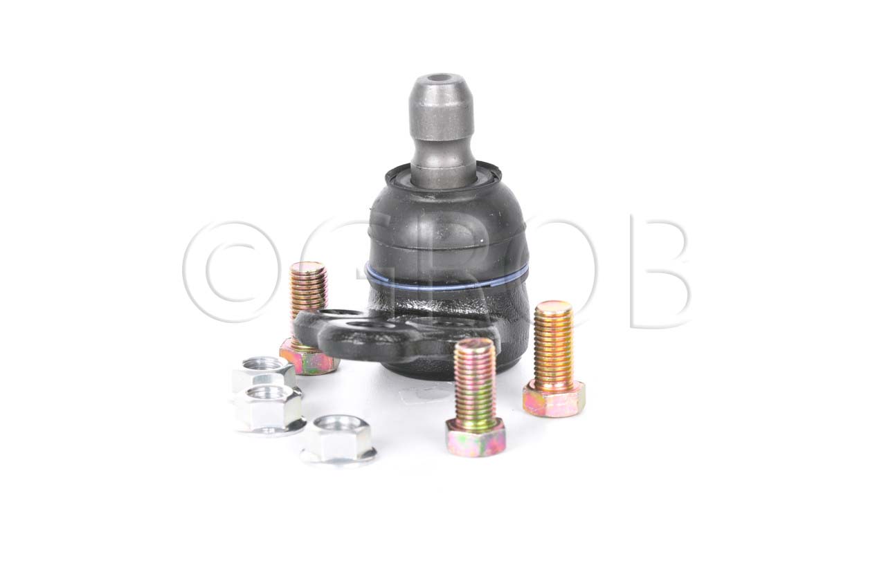 Rotula Inf. Spark 16-21