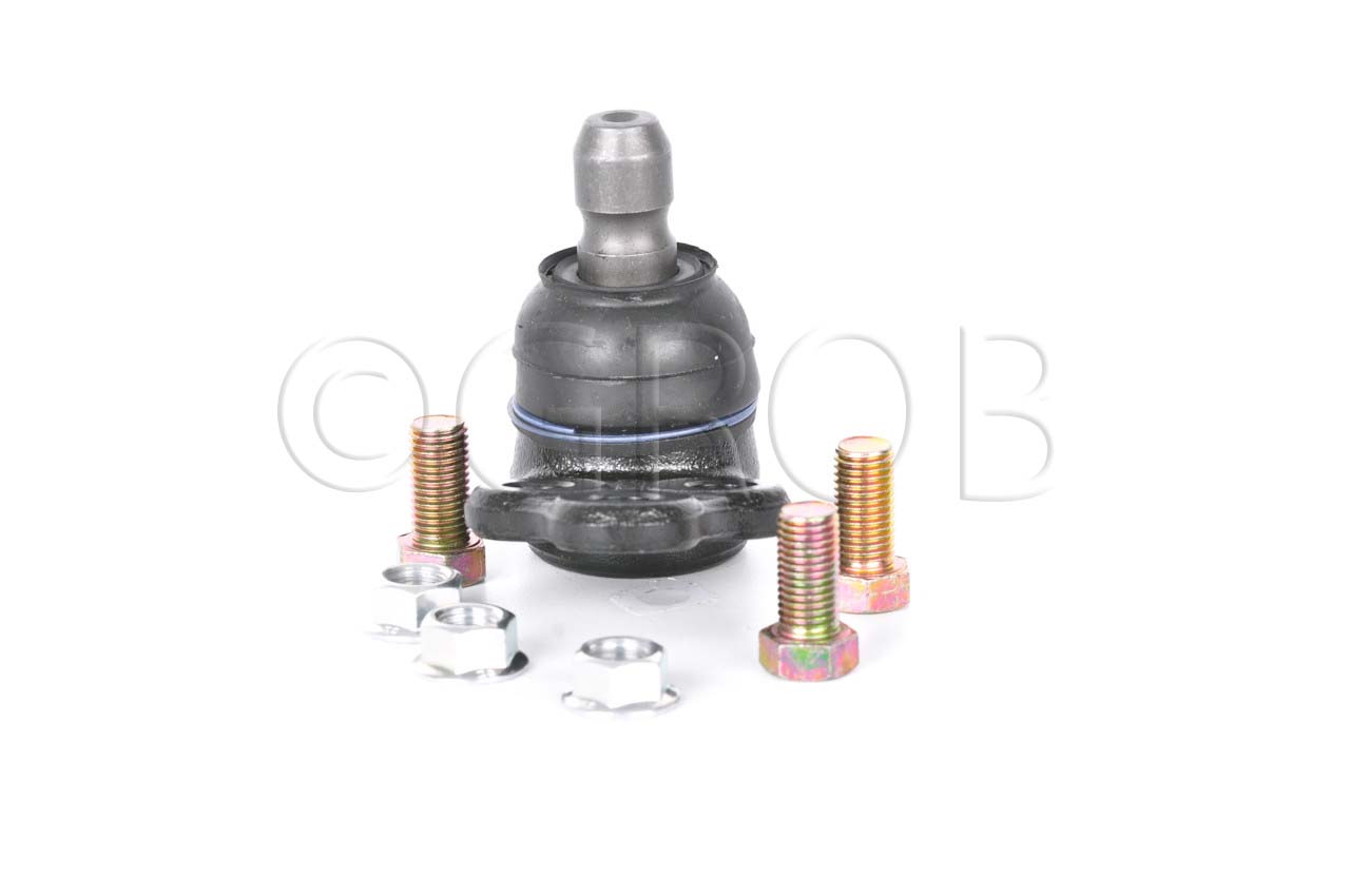 Rotula Inf. Spark 16-21
