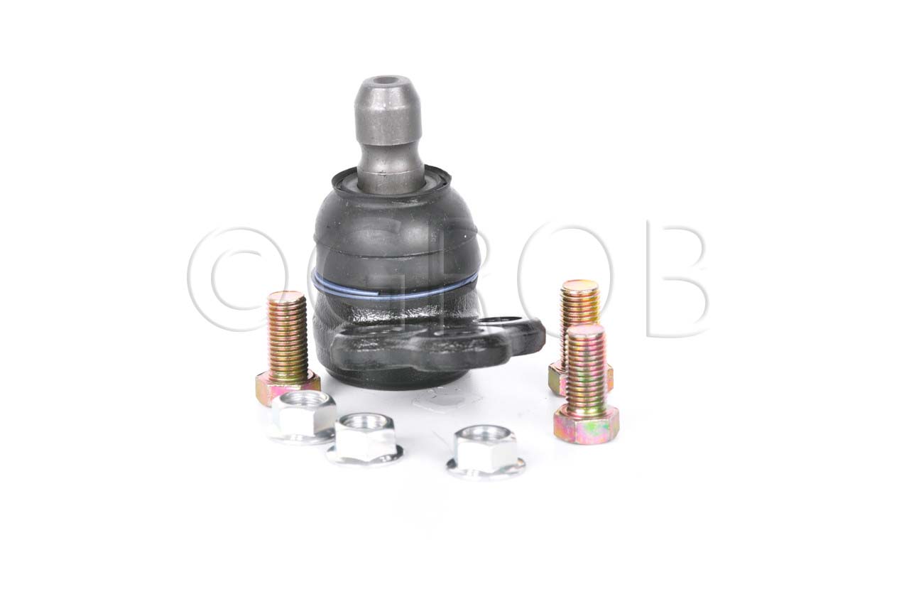 Rotula Inf. Spark 16-21