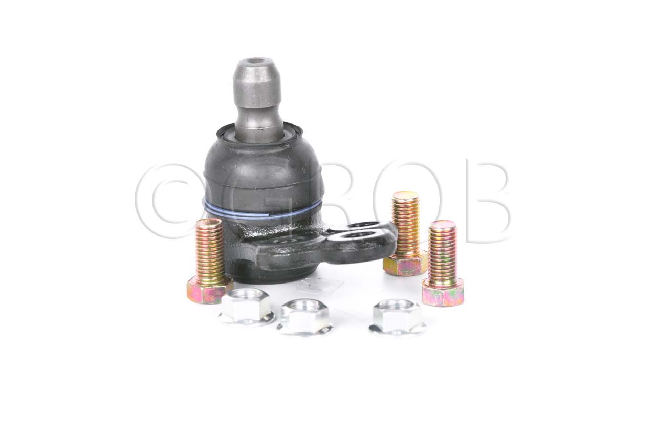 Rotula Inf. Spark 16-21