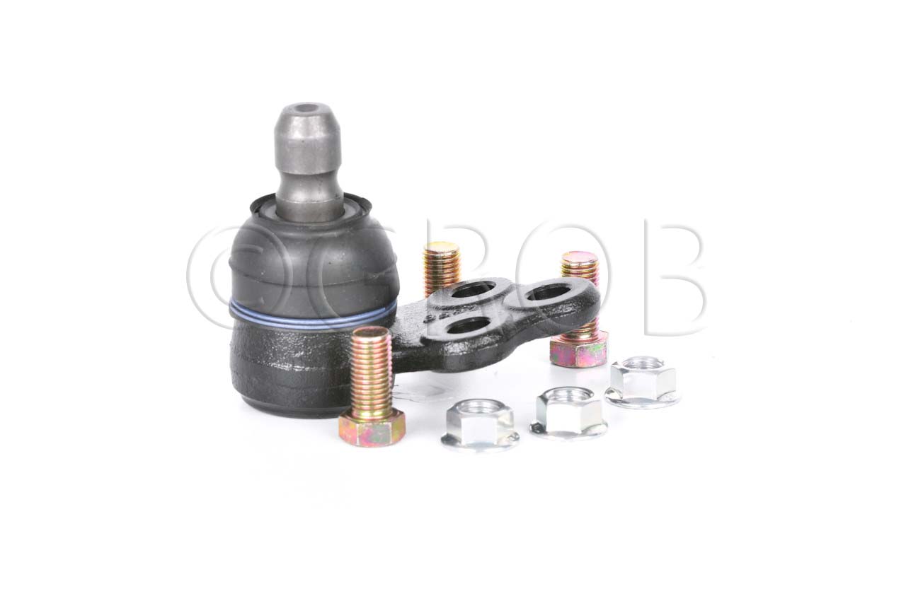 Rotula Inf. Spark 16-21
