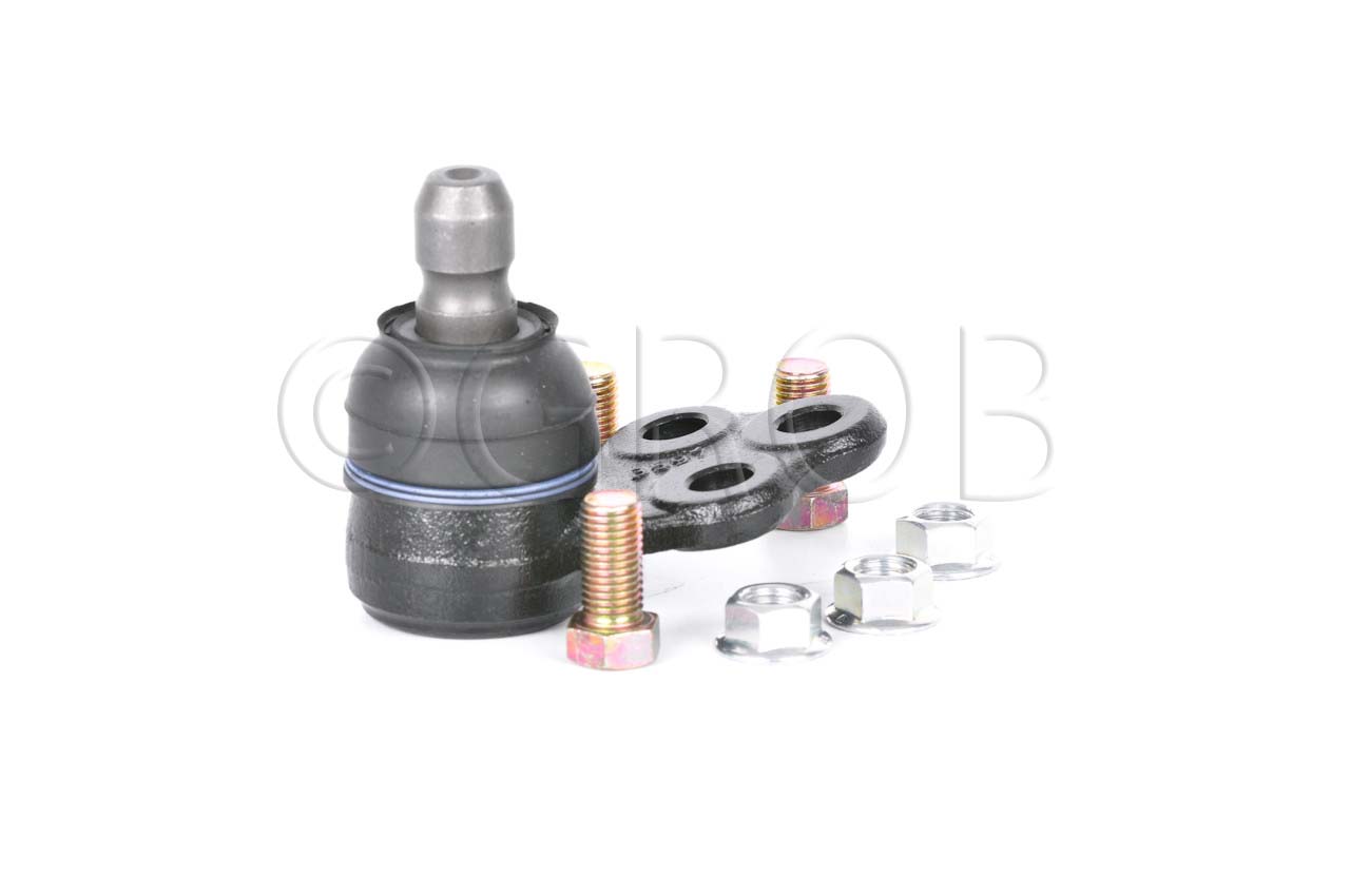 Rotula Inf. Spark 16-21