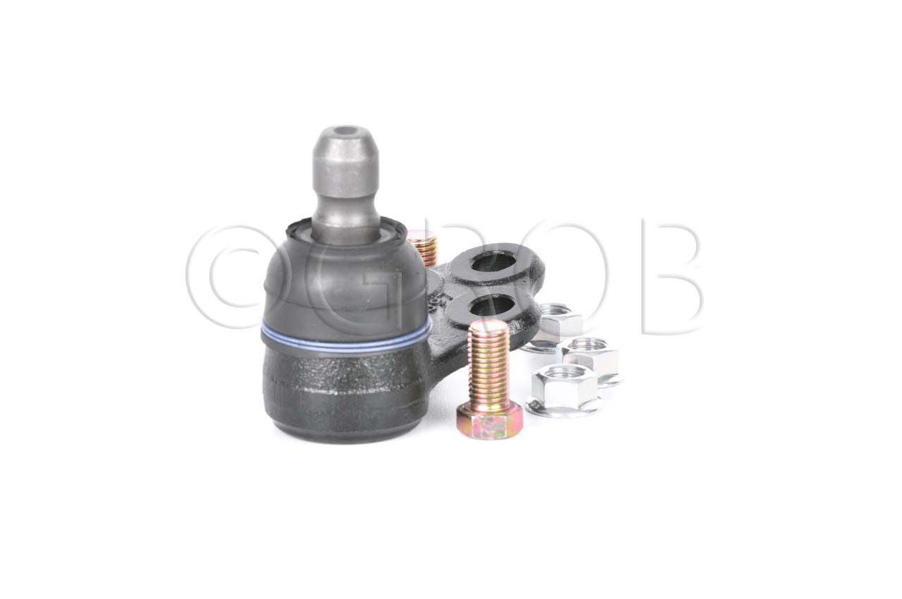 Rotula Inf. Spark 16-21