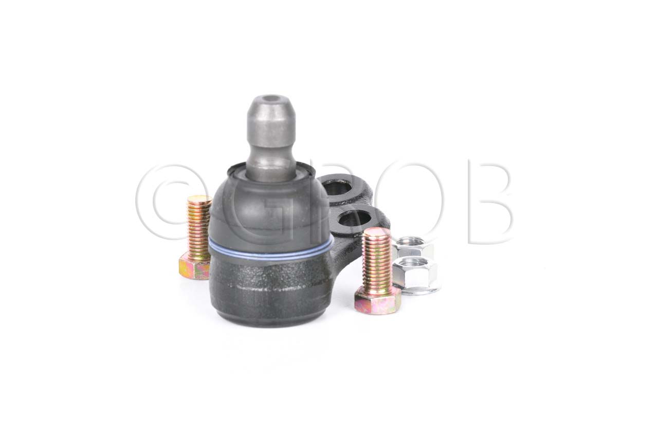 Rotula Inf. Spark 16-21