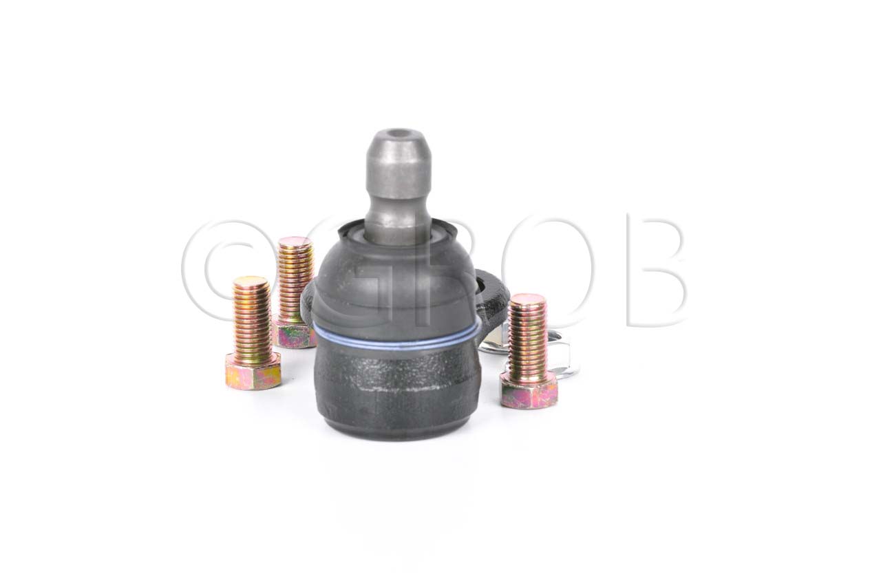 Rotula Inf. Spark 16-21