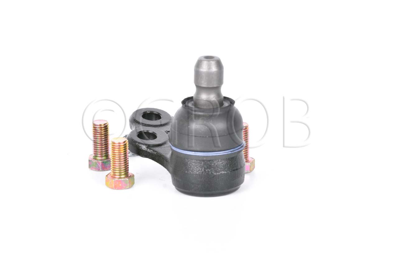 Rotula Inf. Spark 16-21