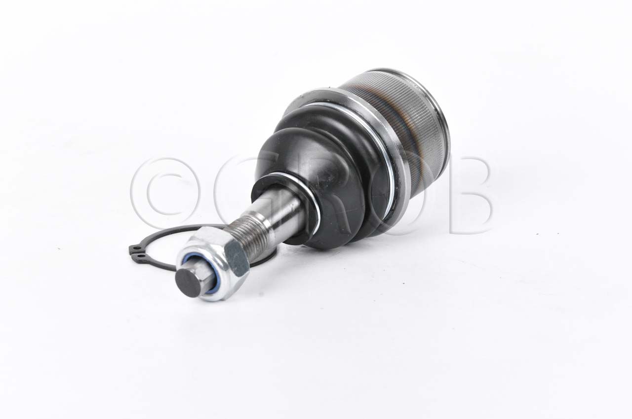 Rotula Inf. Aspen Pickup 07-09 Durango 04-09