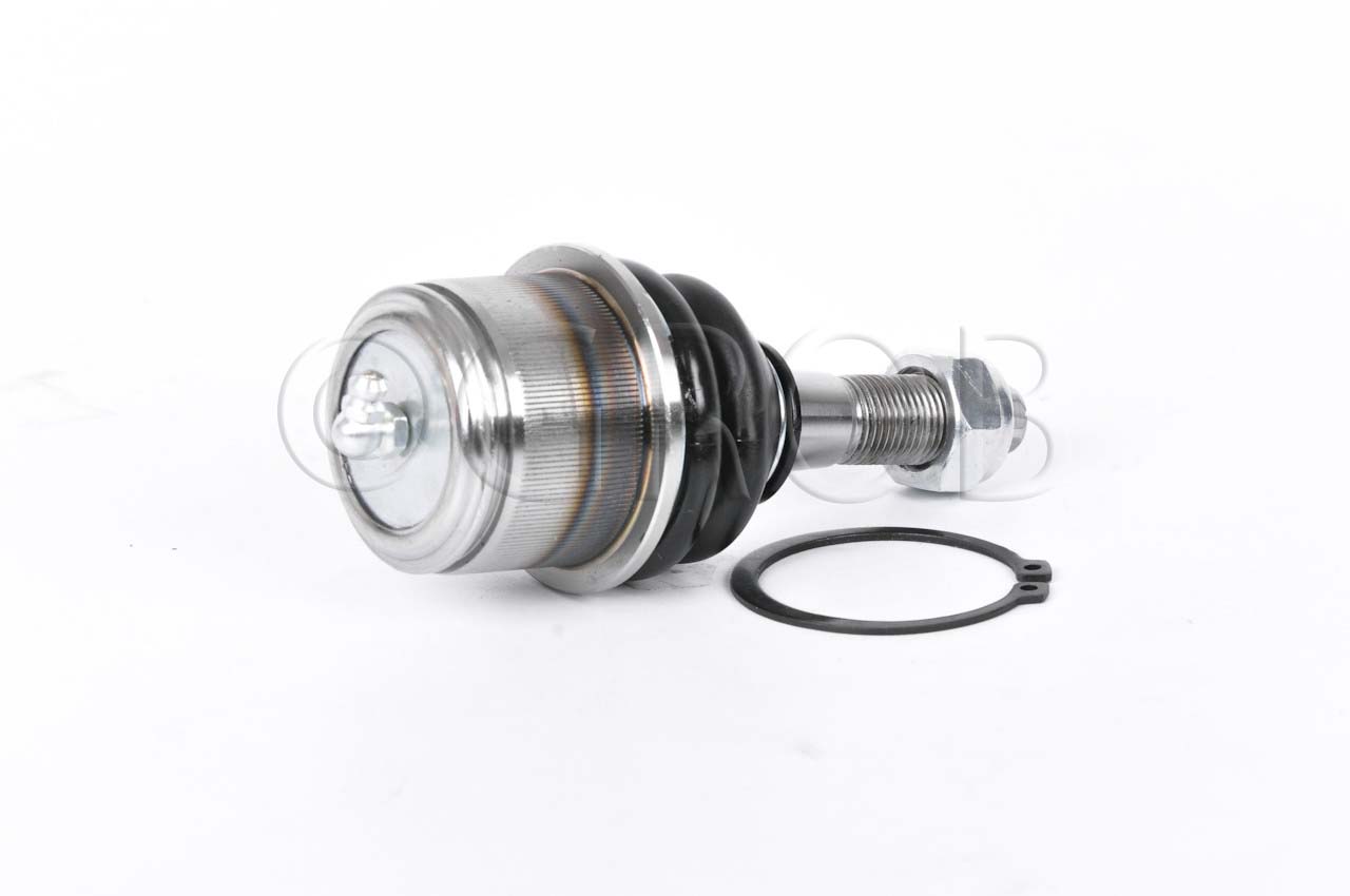 Rotula Inf. Aspen Pickup 07-09 Durango 04-09