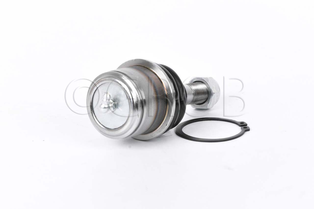 Rotula Inf. Aspen Pickup 07-09 Durango 04-09