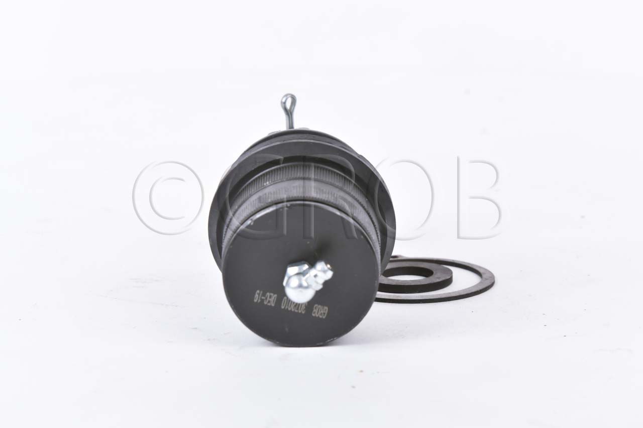 Rotula Inf. Aspen Pickup 07-09 Durango 04-09