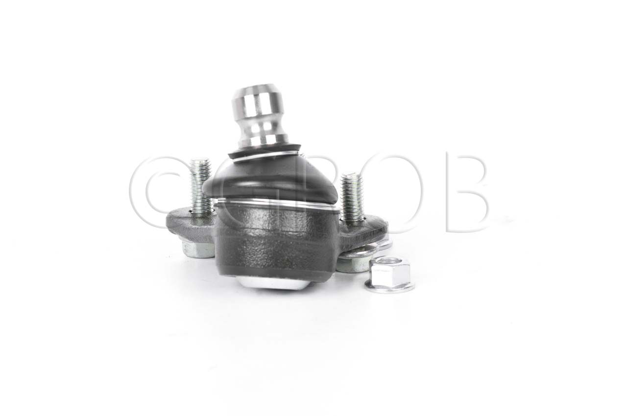 Rotula Inf. Der. Ram-700 15-21 Strada 12-17
