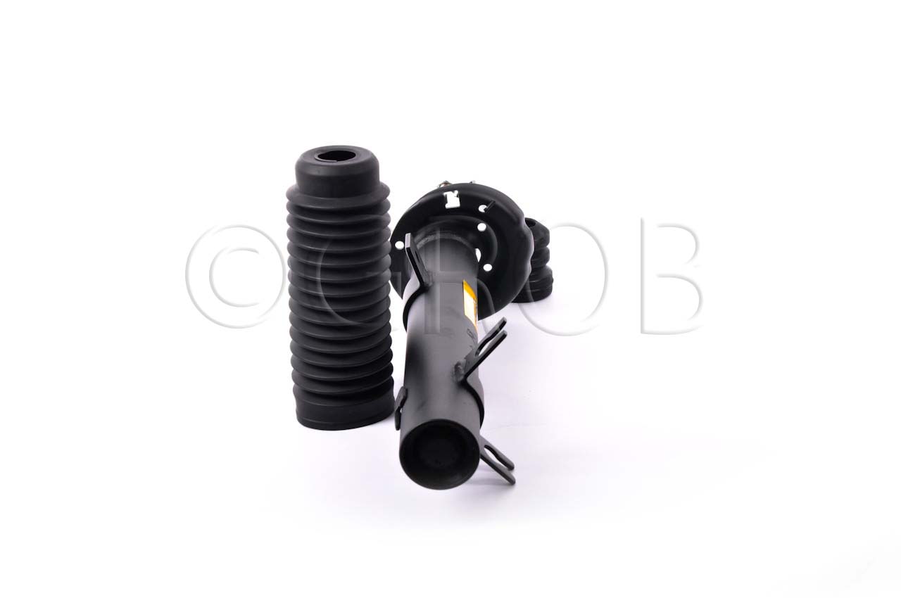 Amortiguador Del. Ecosport 07-12