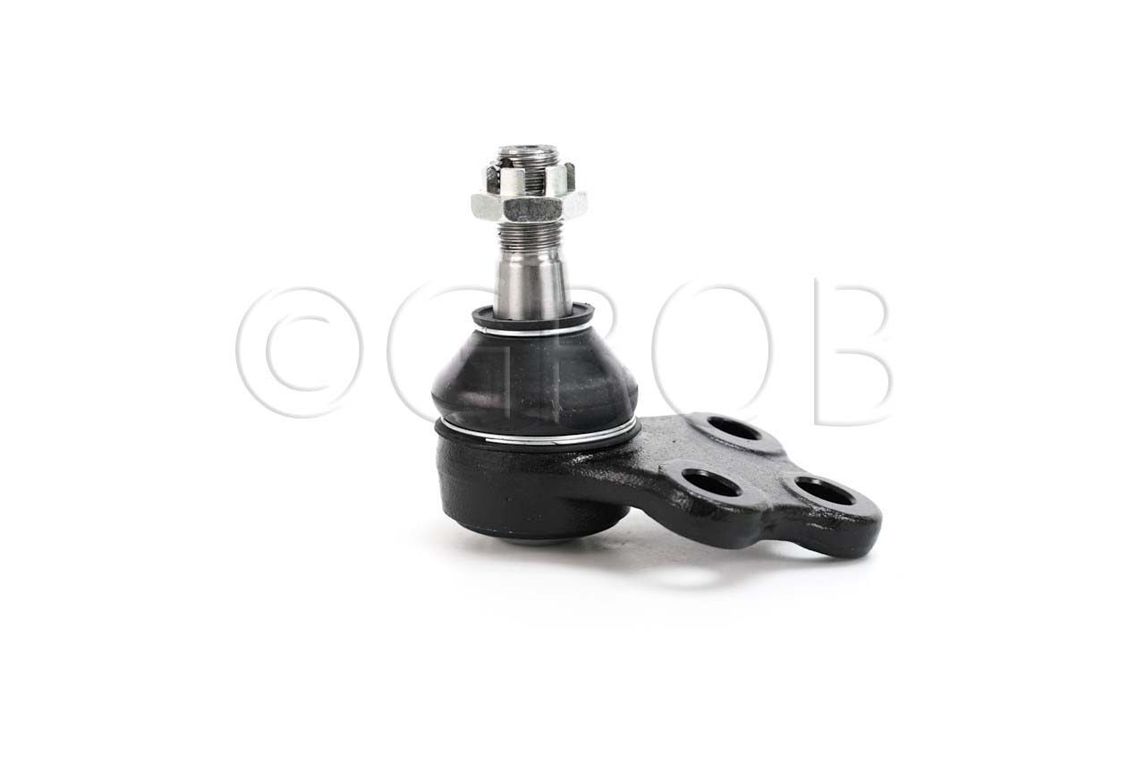 Rotula Inf. QX4 01-03 Pathfinder 97-04