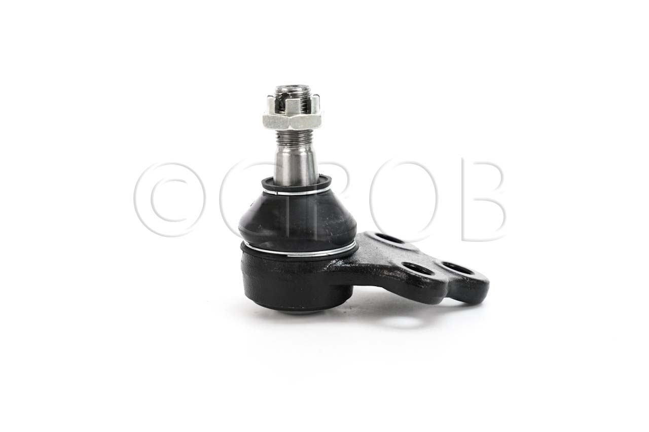 Rotula Inf. QX4 01-03 Pathfinder 97-04