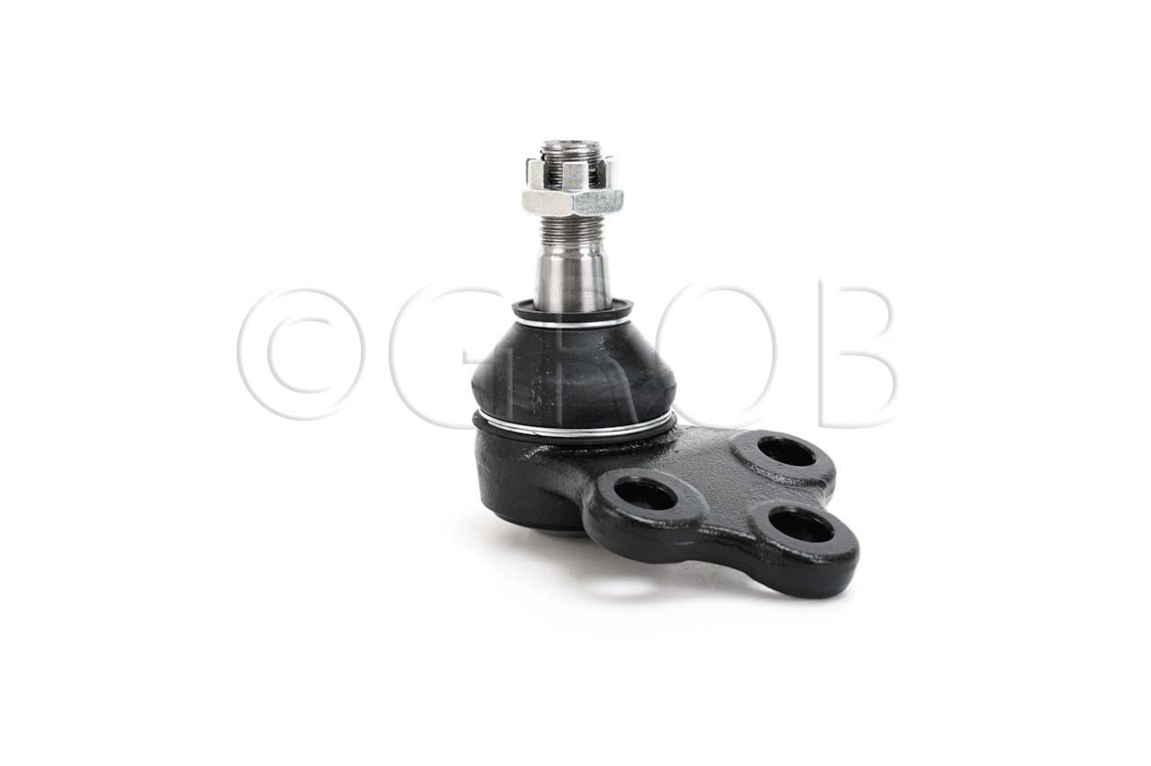 Rotula Inf. QX4 01-03 Pathfinder 97-04