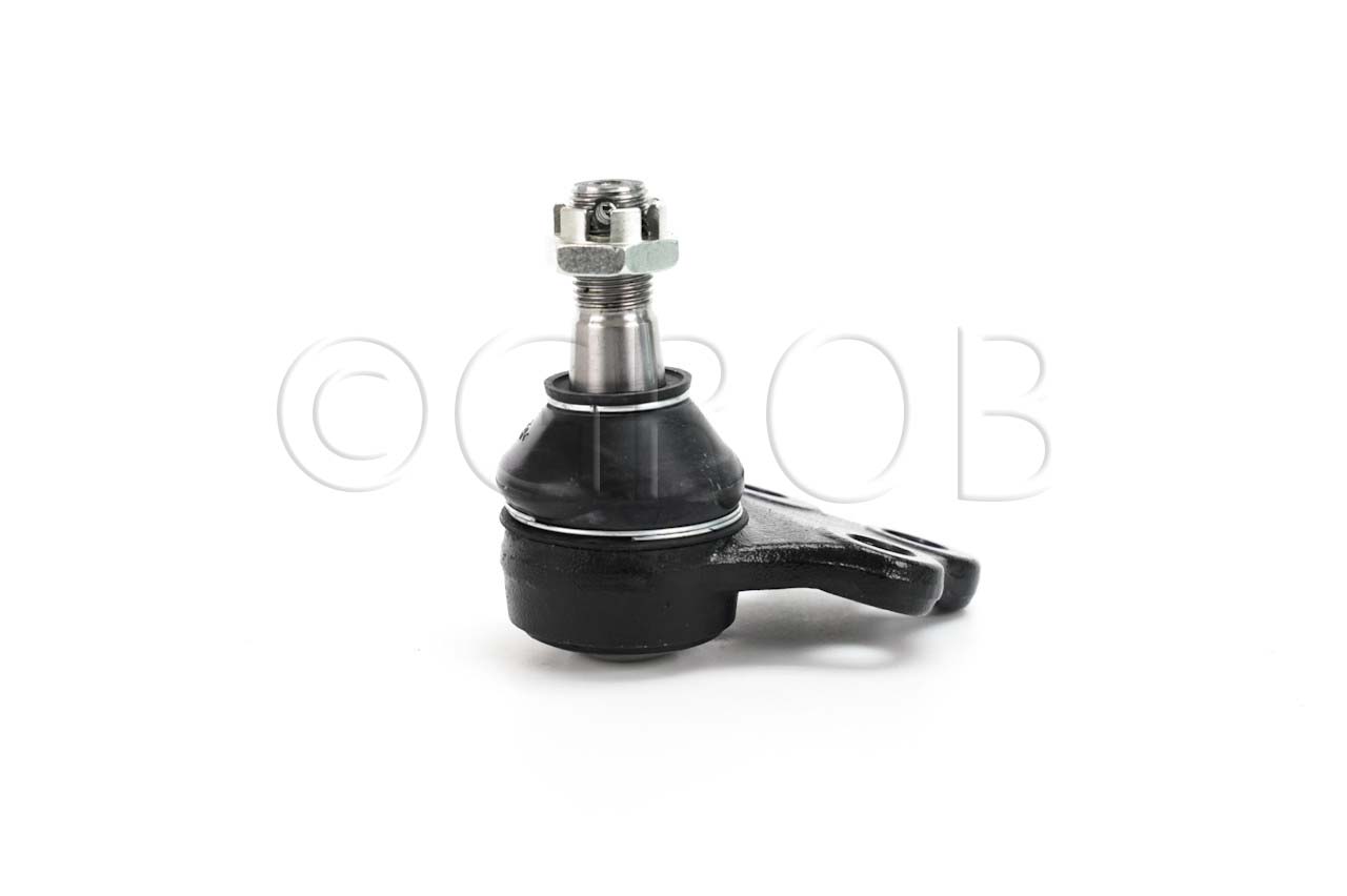 Rotula Inf. QX4 01-03 Pathfinder 97-04