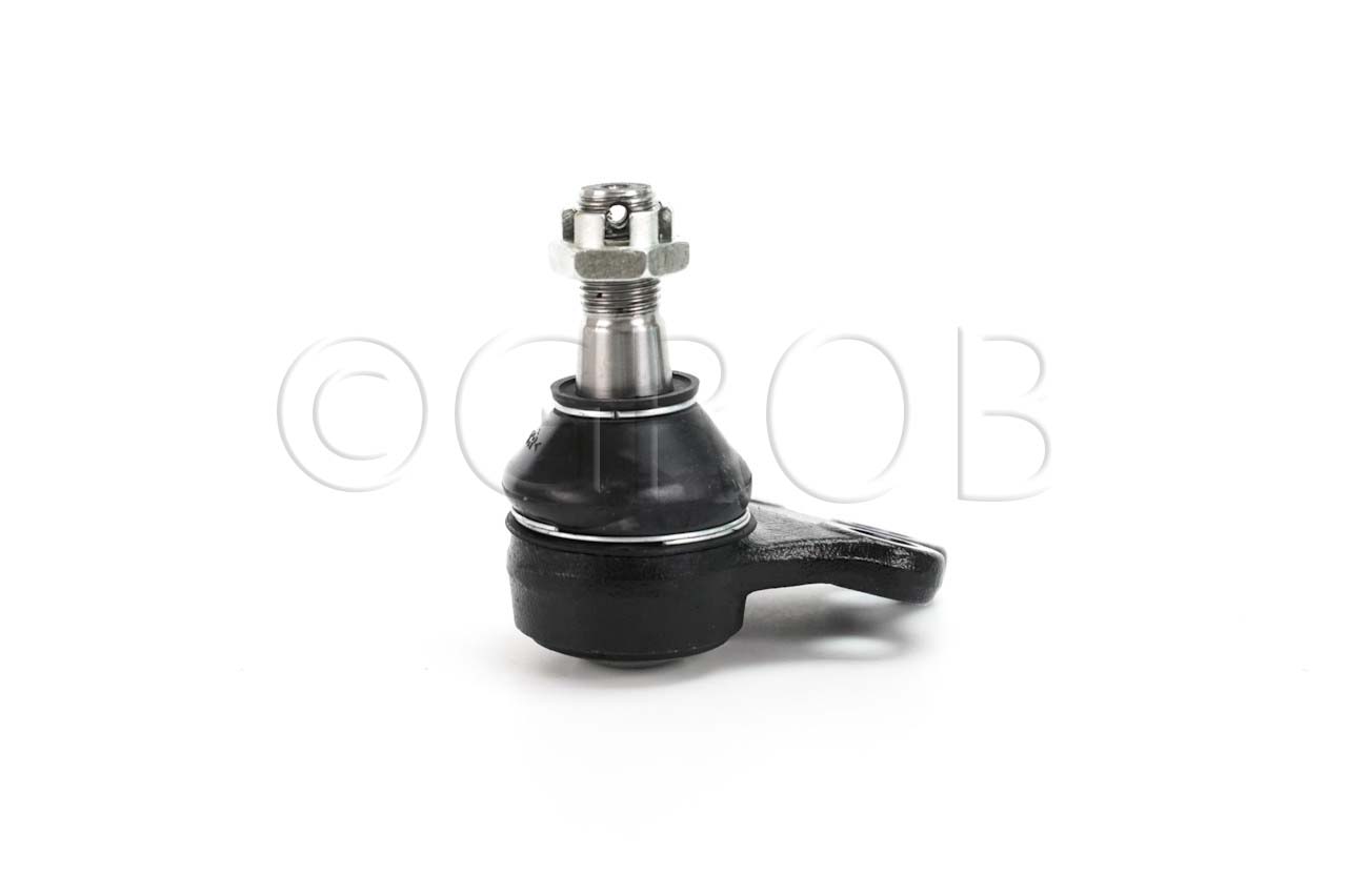 Rotula Inf. QX4 01-03 Pathfinder 97-04