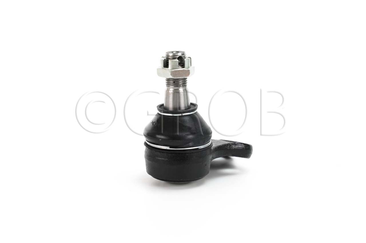 Rotula Inf. QX4 01-03 Pathfinder 97-04