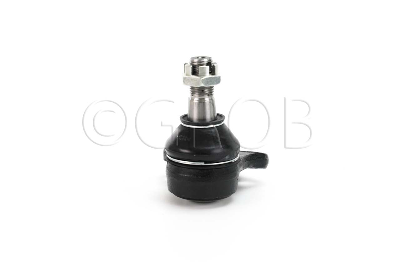 Rotula Inf. QX4 01-03 Pathfinder 97-04