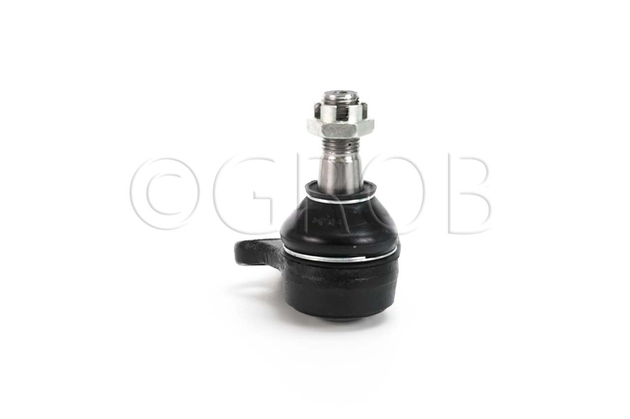 Rotula Inf. QX4 01-03 Pathfinder 97-04