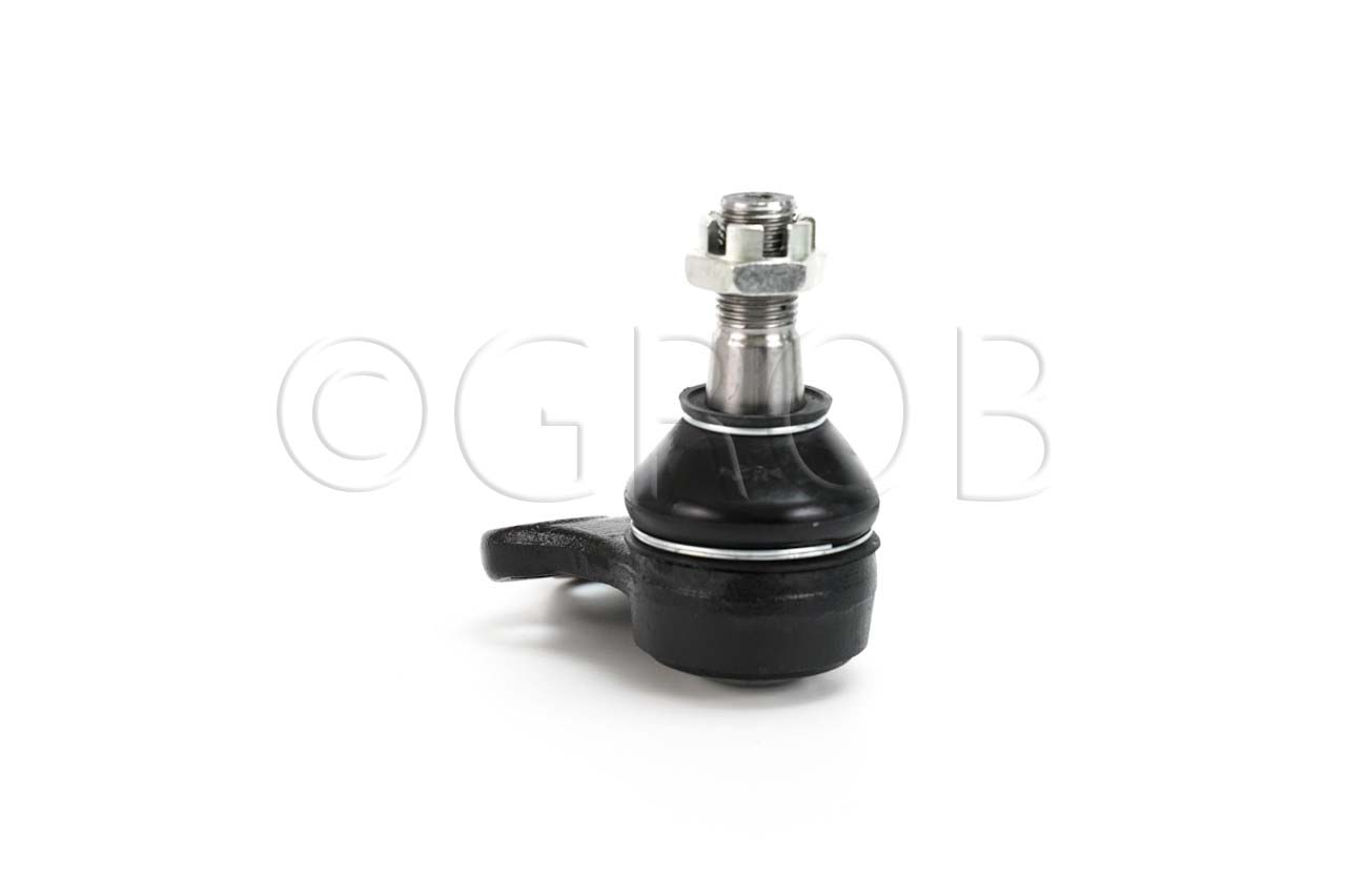 Rotula Inf. QX4 01-03 Pathfinder 97-04
