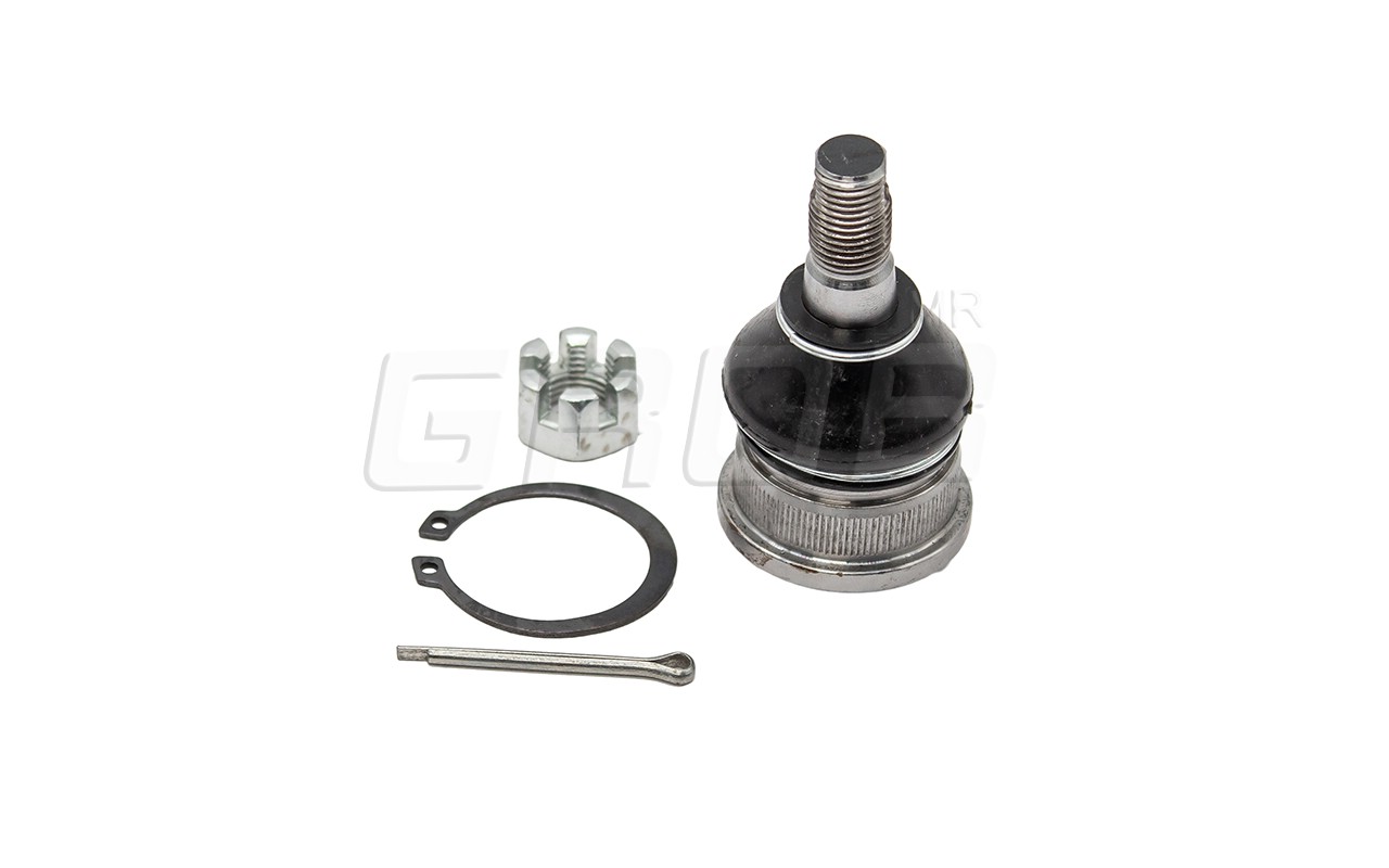 Rotula Inf. 200SX 95-99 Lucino 96-00 NX 91-94 Sentra 96-00