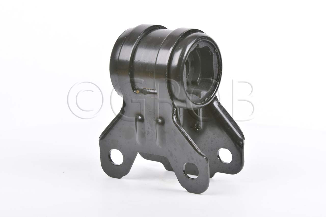 Buje Inf. Der. Focus 12-19