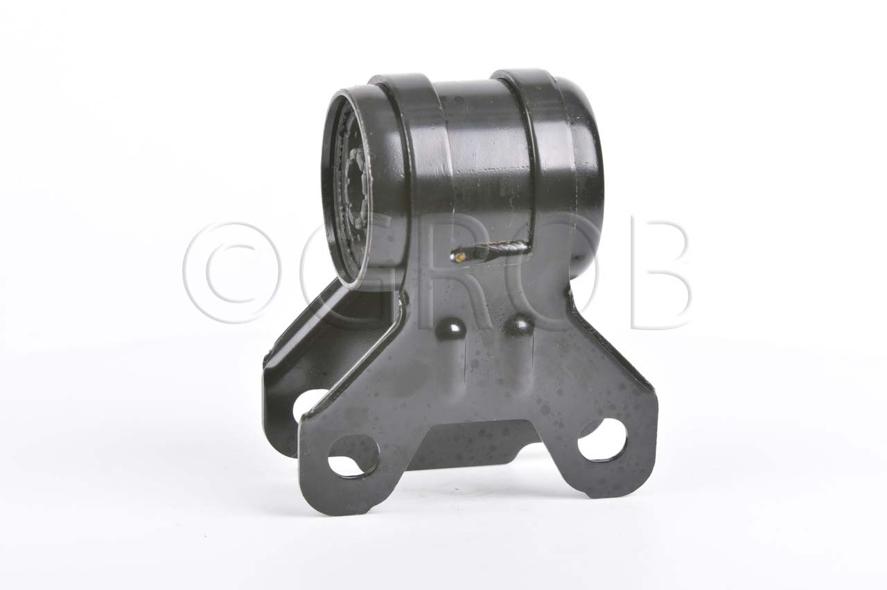 Buje Inf. Der. Focus 12-19