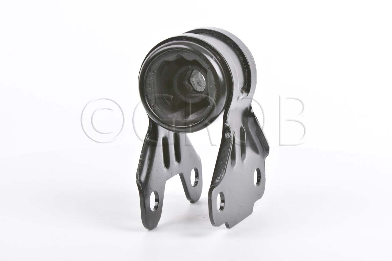Buje Inf. Der. Focus 12-19
