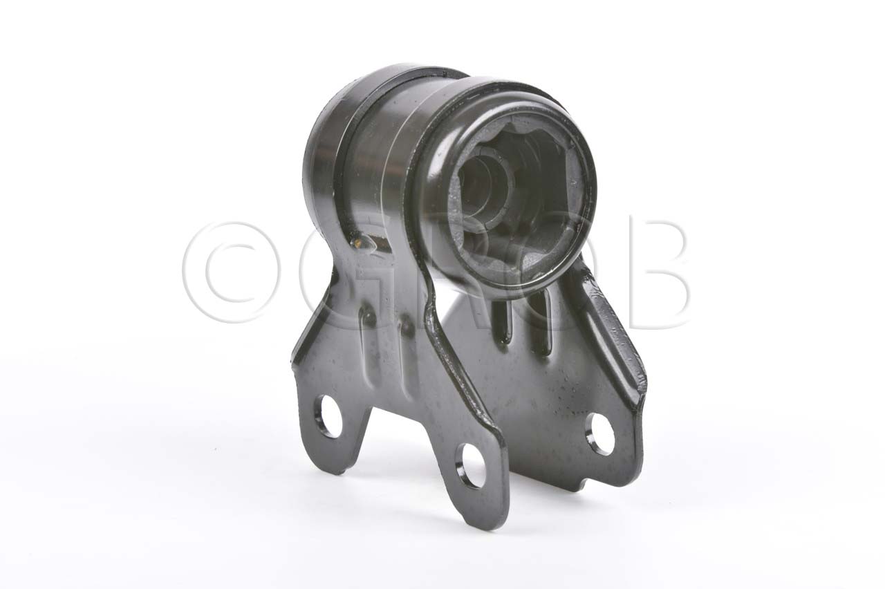 Buje Inf. Der. Focus 12-19